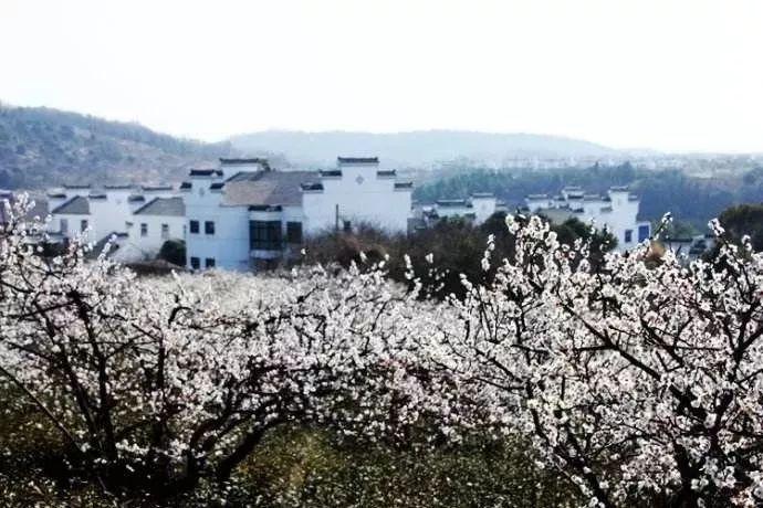 公主换装养成日记