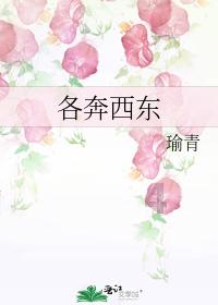 救援旅游者