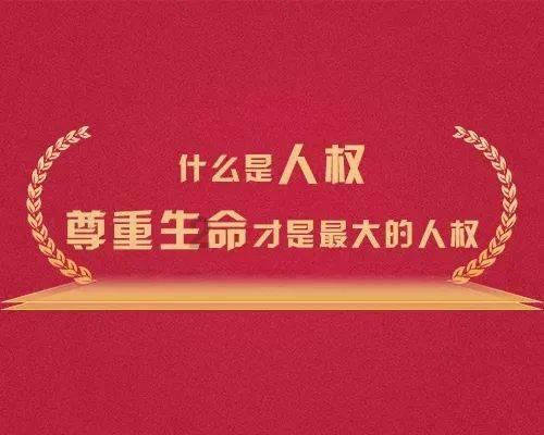 如何筑牢南方生态安全屏障？广西立法引领持续争取好成绩